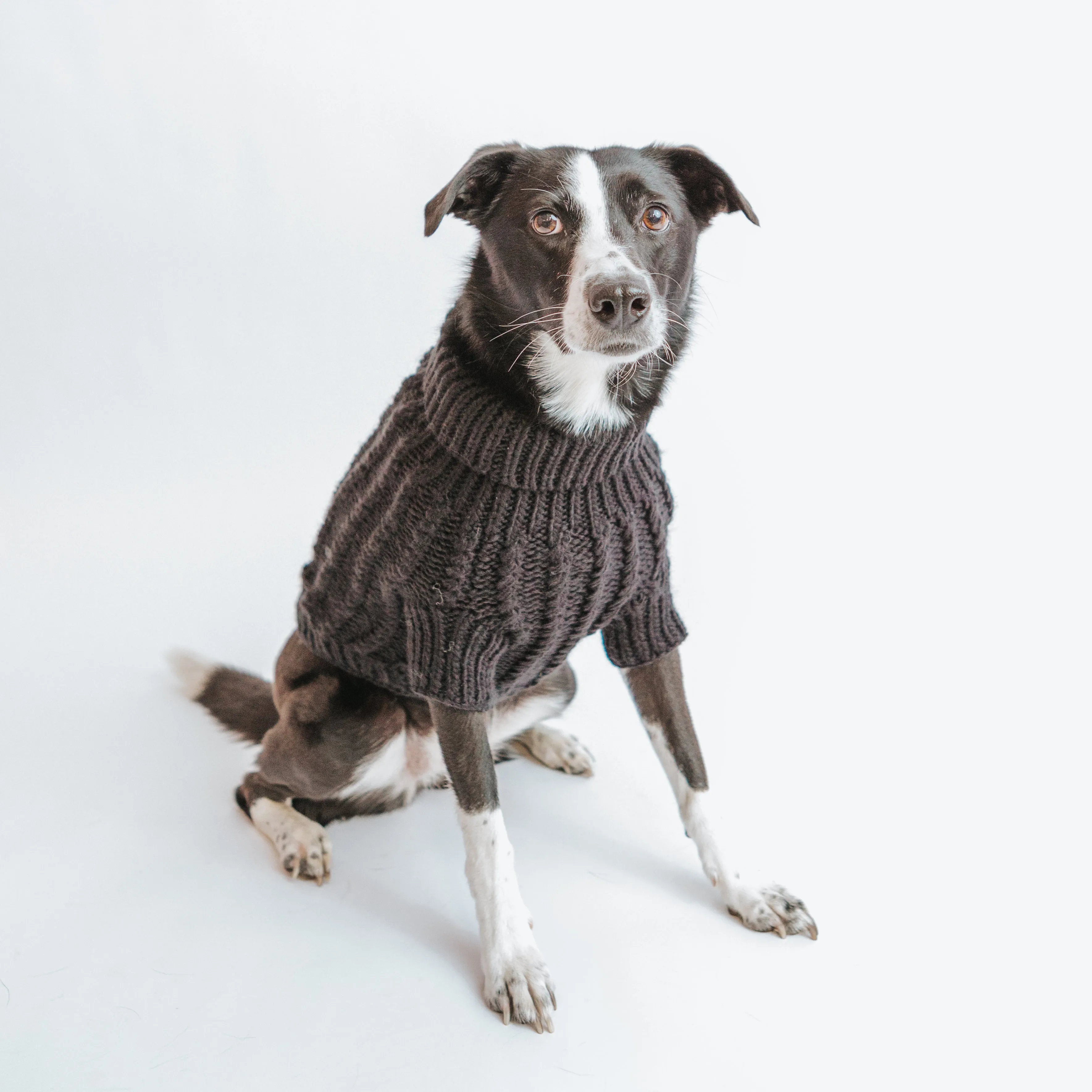 Dog Cable Knit Sweater - Black