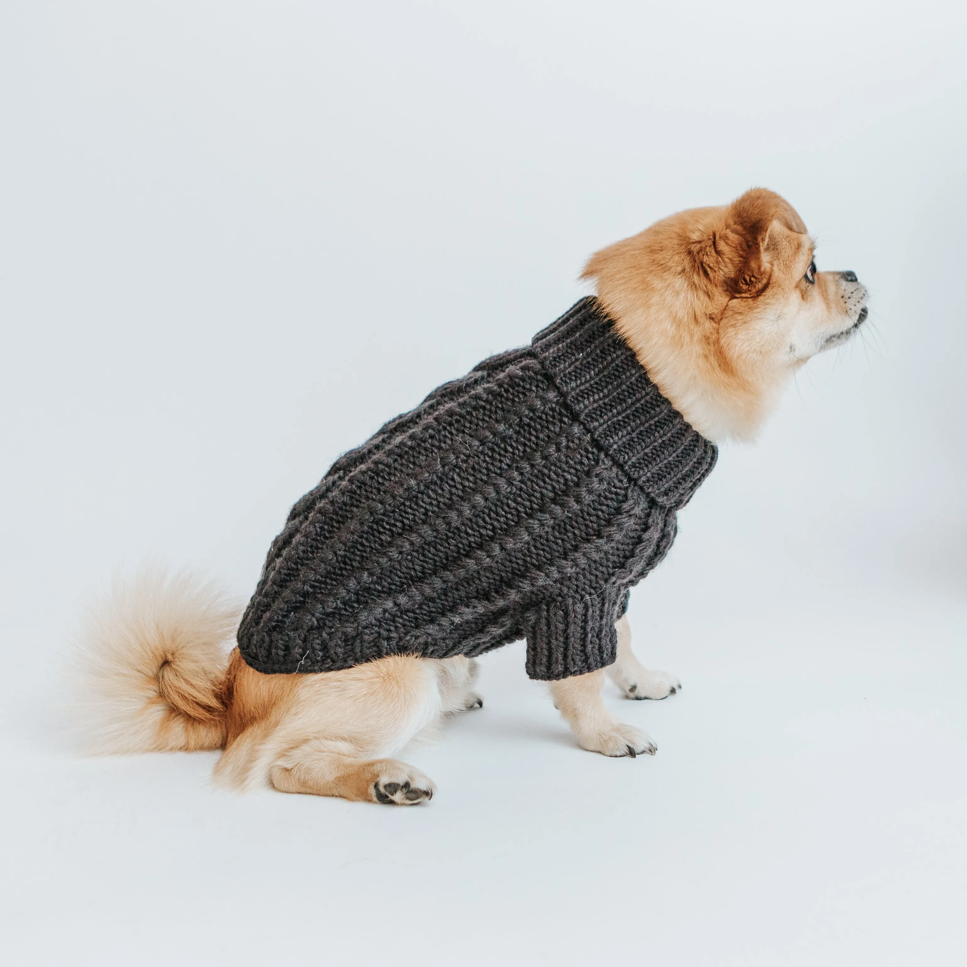 Dog Cable Knit Sweater - Black